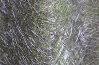 Yapton fibreglass roof work